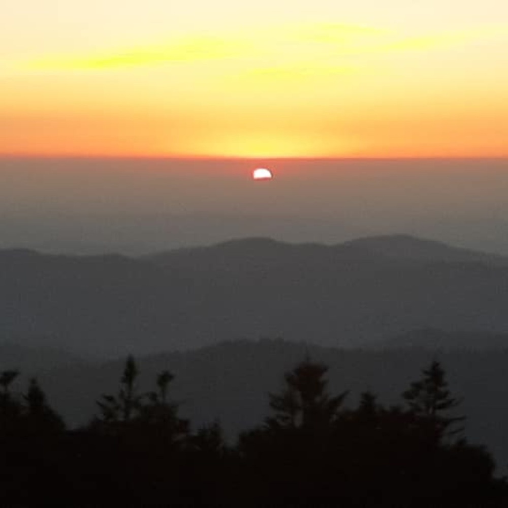 Meet your Posher, Marlene